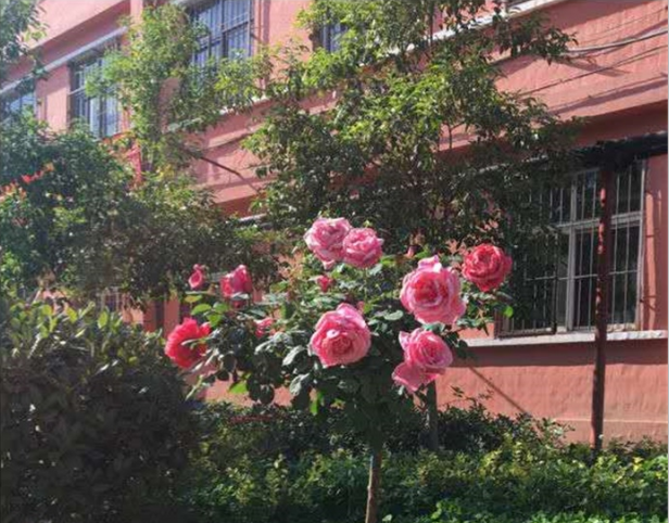 校园风貌